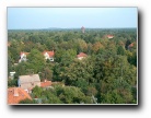 [Click to enlarge]